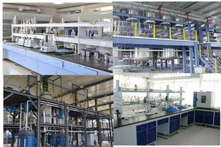 高效管理，助力成長(zhǎng)——?dú)g迎探索企業(yè)管理咨詢的專業(yè)價(jià)值