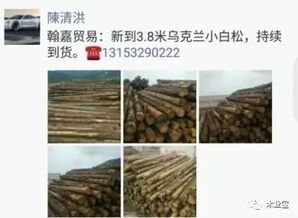 履約思源，不忘初心——精品木材銷售啟事